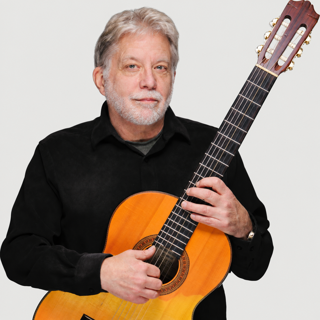 Paul Henry Guitar