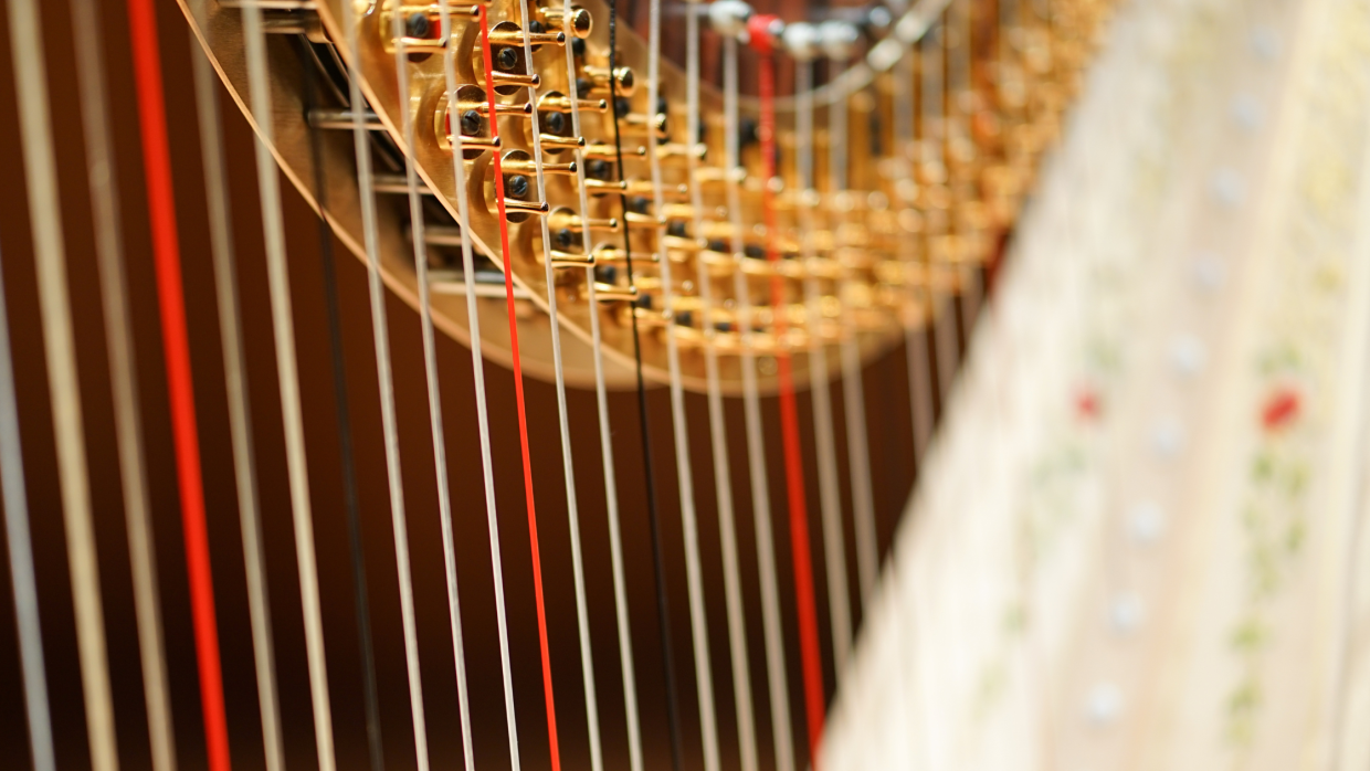 The Harp: An Instrument for Every Stage of Life