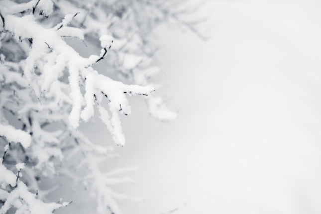 Winter Practice Tips from Music Institute of Chicago Faculty