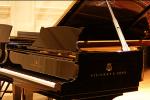 New Summer Piano Classes for Adults